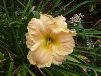 P1320100.JPG