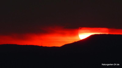 IMG-20230725-WA0000.jpg