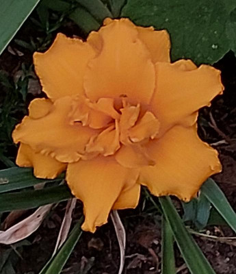 20230725_210030.jpg