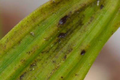 DSC_7815.JPG