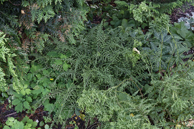 DSC_7891_DxO.jpg