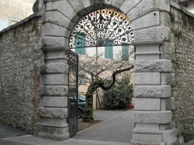 Wisteria_Cividale.jpg