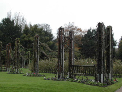 DSCN0480.JPG