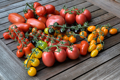 Tomaten-Jul2923_005_00001.jpg