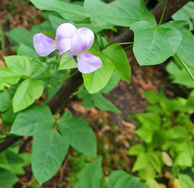 20230730_083935.jpg