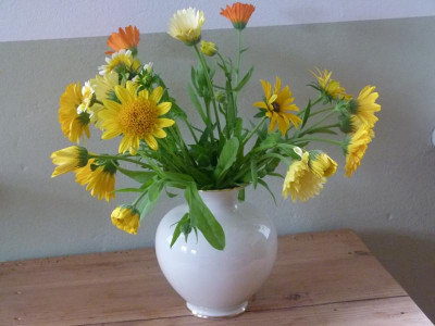 P1090950.JPG