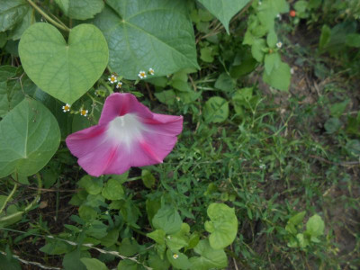 DSCN6562.JPG