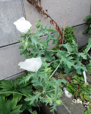 20230801_190123.jpg