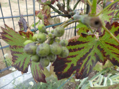 P1040200.JPG