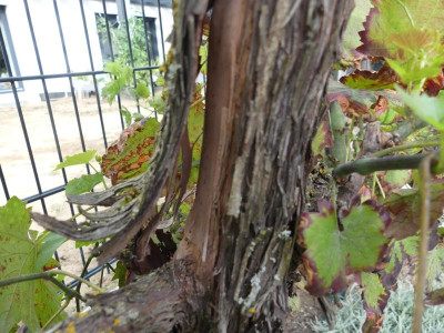 P1040201.JPG