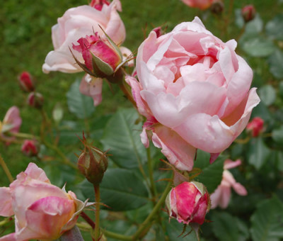 Nymphenburg_0010__HS_28247.jpg