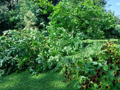 20230719_104354.jpg