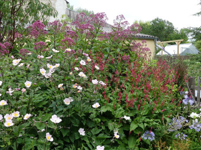 2023-08-06 Garteneinblick 1.jpg