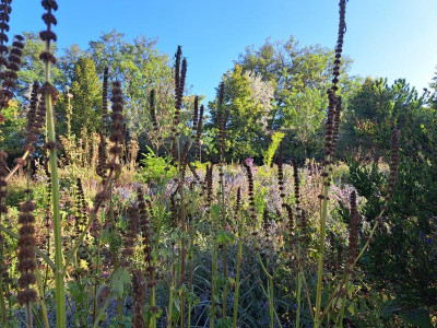 20230805_081920.jpg
