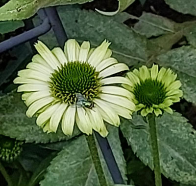 20230807_171059.jpg
