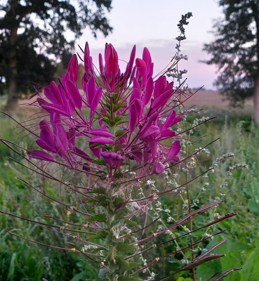 20230809_204101.jpg