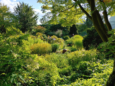 Foerstergarten20230810_175615_HDR.jpg