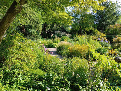 Foerstergarten20230810_175627_HDR.jpg
