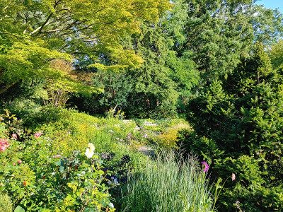 Foerstergarten20230810_175655_HDR.jpg