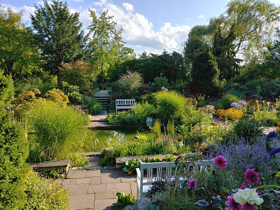 Foerstergarten20230810_175659_HDR.jpg
