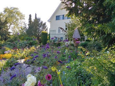 Foerstergarten20230810_175703_HDR.jpg