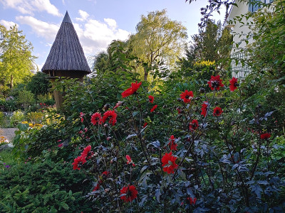 Foerstergarten20230810_175726_HDR.jpg