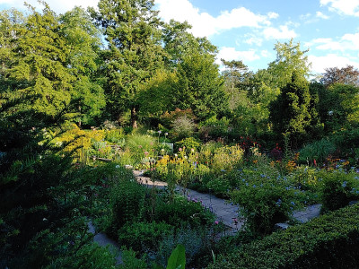 Foerstergarten20230810_175831.jpg