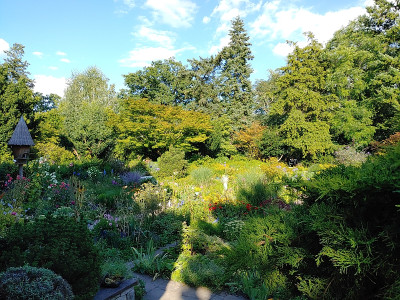 Foerstergarten20230810_180027.jpg