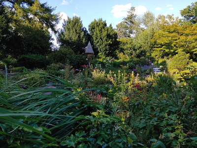 Foerstergarten20230810_180047.jpg