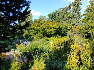 Foerstergarten20230810_180100.jpg