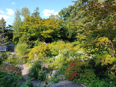 Foerstergarten20230810_180112.jpg