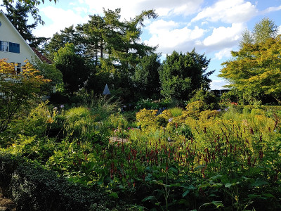 Foerstergarten20230810_180132.jpg