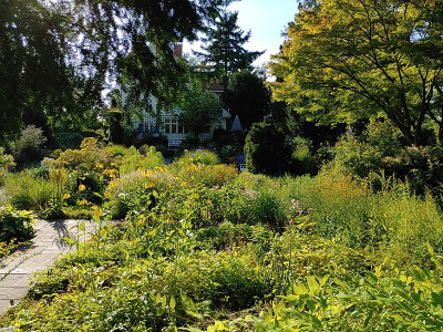 Foerstergarten20230810_180236.jpg