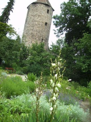 Krautergarten_mit_Turm.jpg