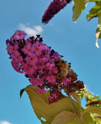 20230811_123223_HDR_(1).jpg