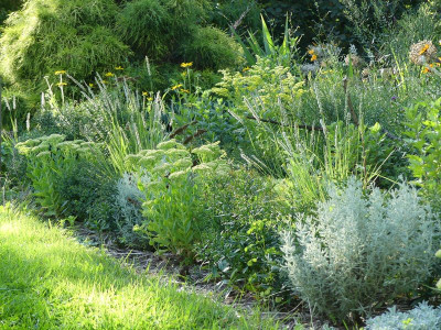 2023-08-11 Garteneinblick 2.jpg