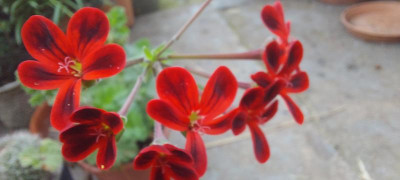 20230812_122843.jpg