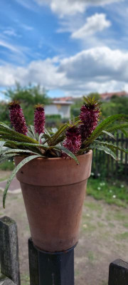 20230809_131410.jpg