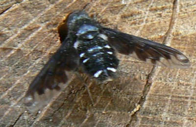 unbekannt_08_06_22_a.jpg