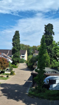 20230815_120346.jpg