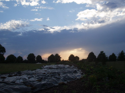RosenparkAbendhimmel_22.Juni_2008_162.jpg