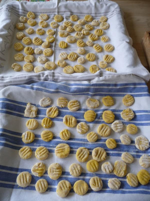 Kürbisgnocchies.jpg