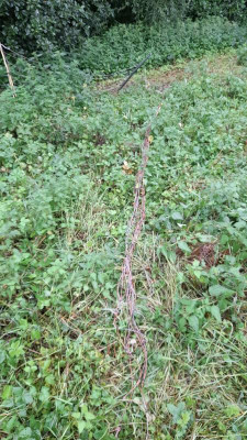 IMG-20230817-WA0006.jpeg