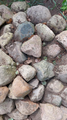 IMG-20230801-WA0033.jpeg