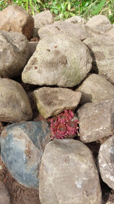 IMG-20230801-WA0037.jpeg