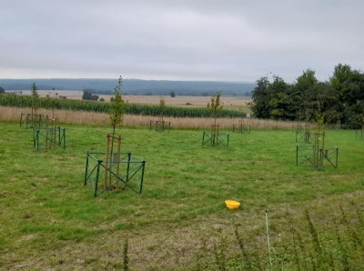 20230817_181046.jpg