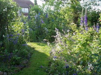 Kopie_von_Raphaelas_Garten_Juni_2008_09728.jpg