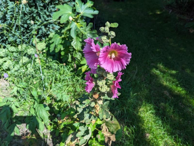 PXL_20230822_120310816.jpg