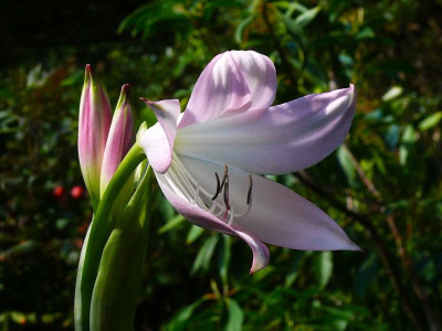 P1180361.JPG