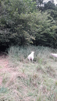 IMG-20230824-WA0011.jpeg